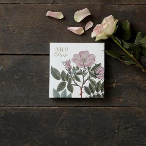 Coffret 8 cartes Roses Sauvages
