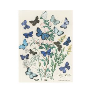 Carnet de Notes Papillons