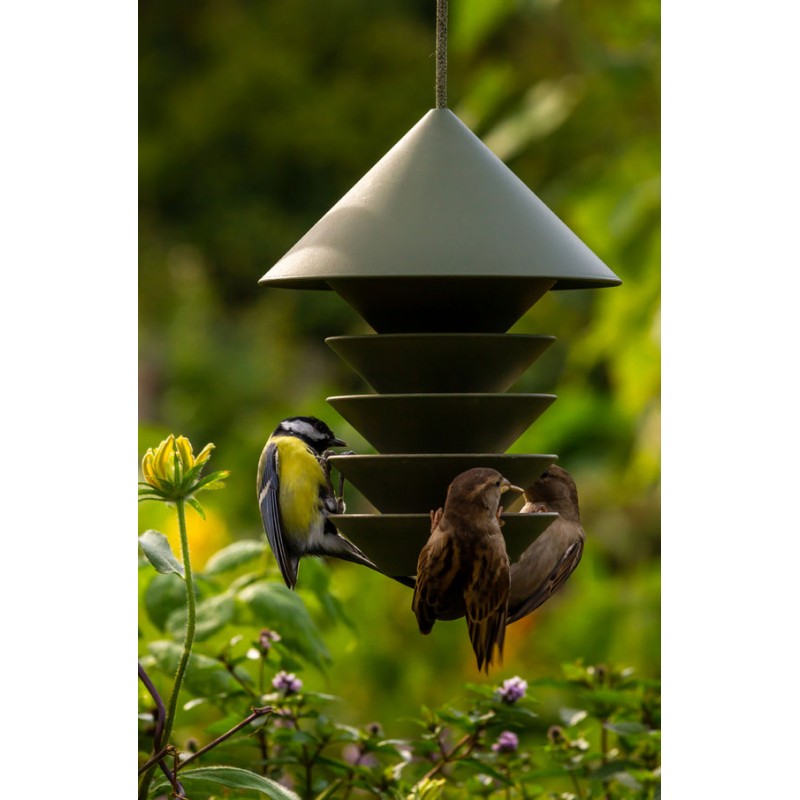 TOP - Mangeoire oiseau design - Hello Birdy le blog