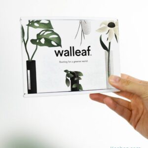 Soliflore aimanté design. Vase tube en verre incolore ou coloré par Walleaf pour une décoration florale murale originale.