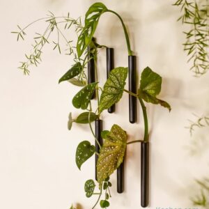 Soliflore aimanté design. Vase tube en verre incolore ou coloré par Walleaf pour une décoration florale murale originale.