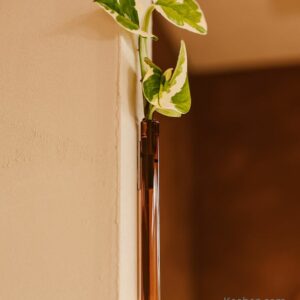 Soliflore aimanté design. Vase tube en verre incolore ou coloré par Walleaf pour une décoration florale murale originale.