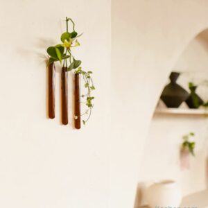 Soliflore aimanté design. Vase tube en verre incolore ou coloré par Walleaf pour une décoration florale murale originale.