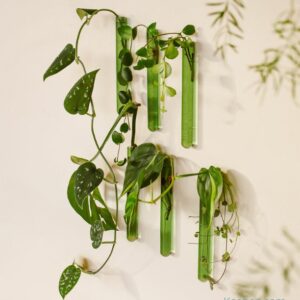 Soliflore aimanté design. Vase tube en verre incolore ou coloré par Walleaf pour une décoration florale murale originale.