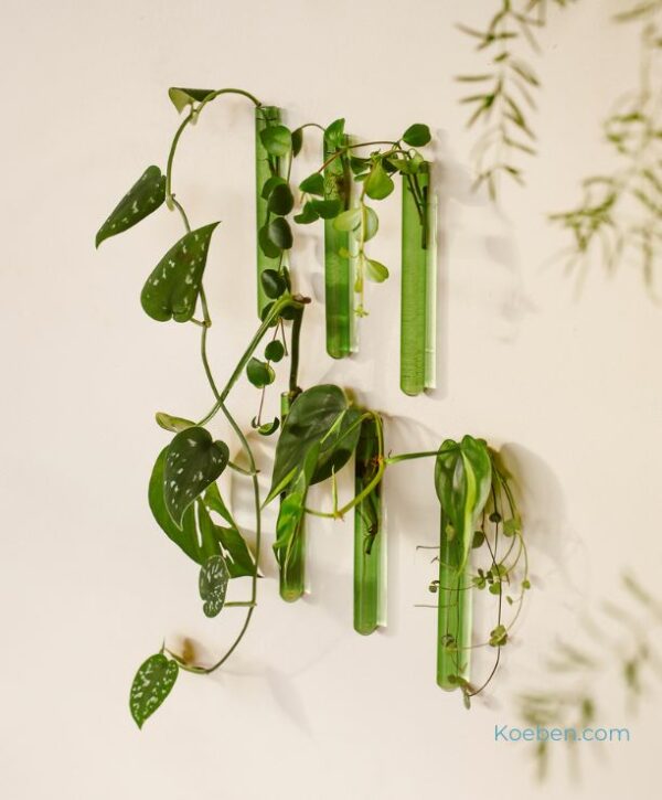 Soliflore aimanté design. Vase tube en verre incolore ou coloré par Walleaf pour une décoration florale murale originale.