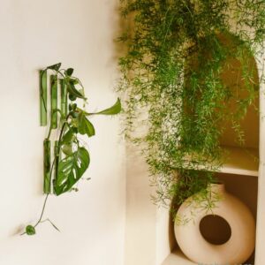 Soliflore aimanté design. Vase tube en verre incolore ou coloré par Walleaf pour une décoration florale murale originale.