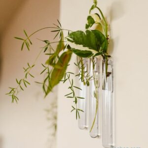 Soliflore aimanté design. Vase tube en verre incolore ou coloré par Walleaf pour une décoration florale murale originale.