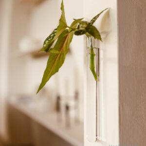 Soliflore aimanté design. Vase tube en verre incolore ou coloré par Walleaf pour une décoration florale murale originale.
