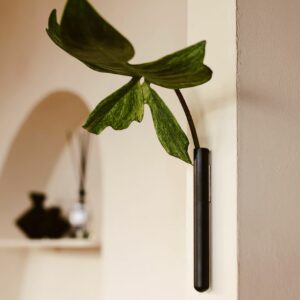 Soliflore aimanté design. Vase tube en verre incolore ou coloré par Walleaf pour une décoration florale murale originale.