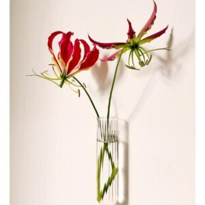 Vase mural aimanté design. Vase tube en verre incolore ou coloré par Walleaf pour une décoration florale murale originale.