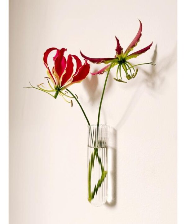 Vase mural aimanté design. Vase tube en verre incolore ou coloré par Walleaf pour une décoration florale murale originale.